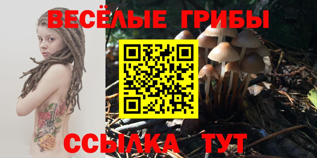 Псилоцибиновые грибы Cubensis  Галлюциногенные грибы Cubensis  Медногорск  Вход с VPN 